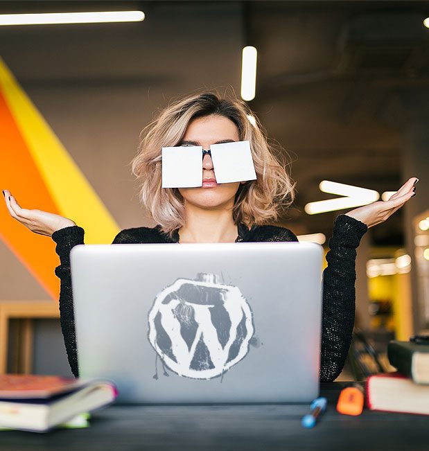 Error crítico de WordPress: ¿dónde y qué buscar?